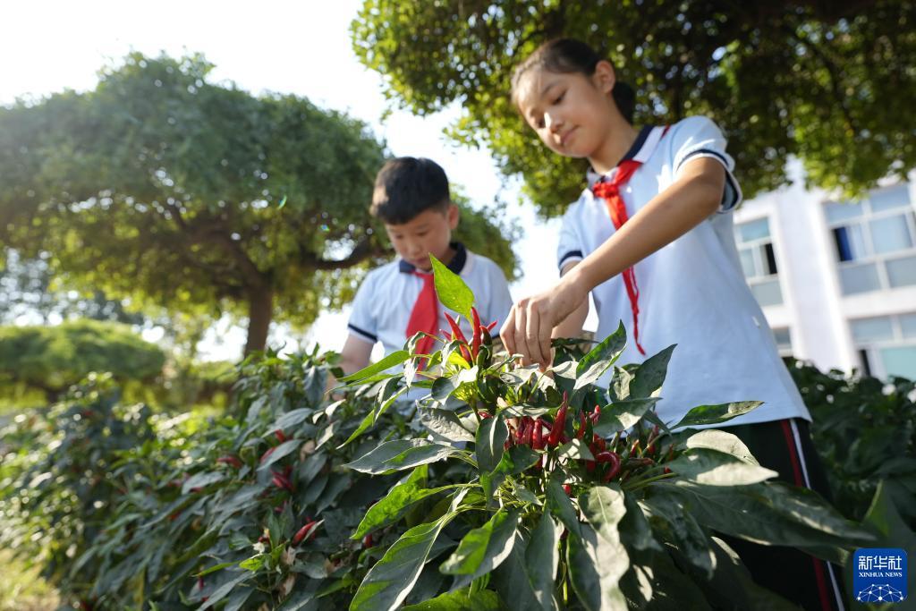 富都娱乐会员登录